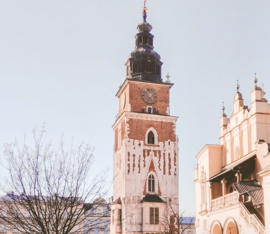 Kraków stolicą neurofizjologii